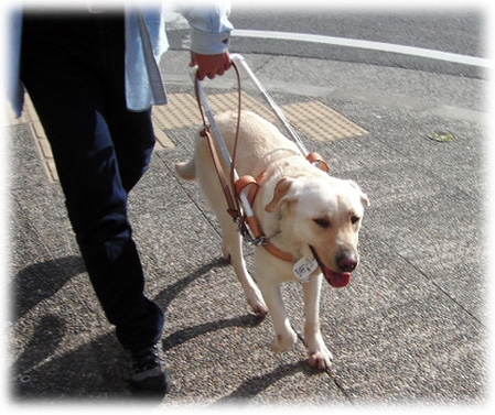 ����ԥ��ԥ�󤵤����⤤�Ƥ��륢���