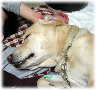 ���ܤ����������̲��KEIRU