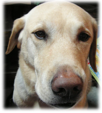 KEIRU�����Υ��å�