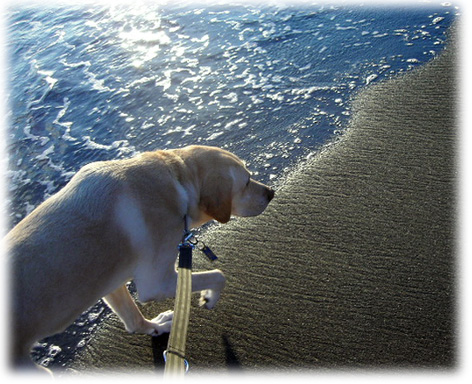 ���Ǥ��ݤ��⤯KEIRU