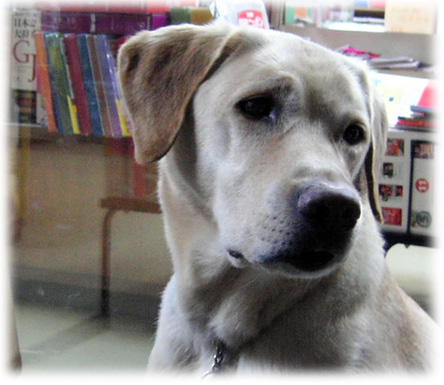 ちょっと不安そうなKEIRU