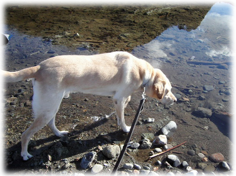 川にちょっとだけ浸かっているKEIRU