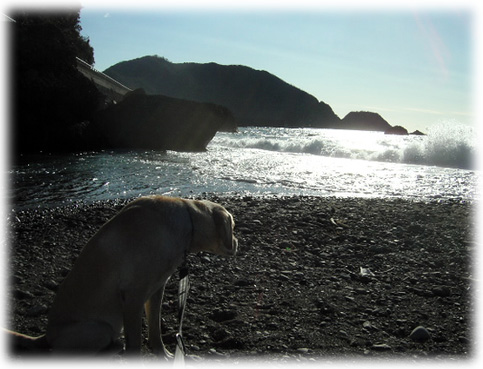 激しい波を見つめているように見えるKEIRU