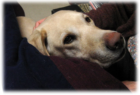 ɨ�˳ܤ�ܤ��ƴŤ���KEIRU