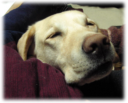 ɨ���ǥ��ȥ��Ȥ�KEIRU