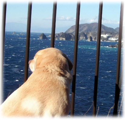 �ٻλ��ȳ���Хå��˸��������KEIRU