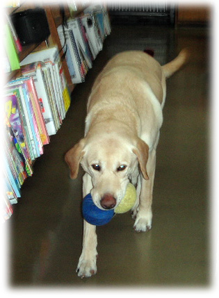 �ܡ��룲�Ĥ��廊���⤤�����KEIRU