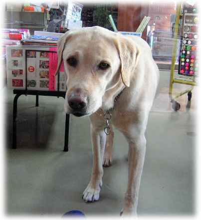 ���饹�ۤ��ˤ�����򸫤�KEIRU