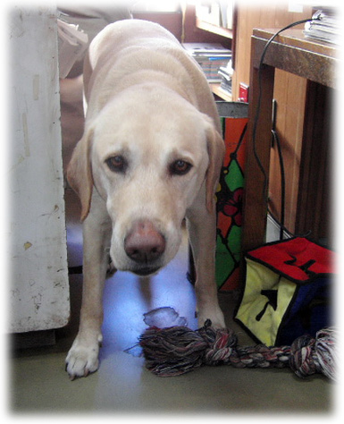 ���˹Ԥ������äƤ���KEIRU