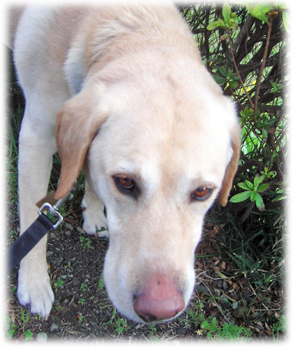 �����򸫤�KEIRU