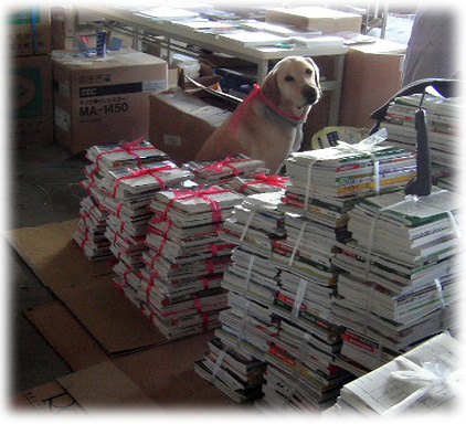 ��¤�ꤵ�줿KEIRU