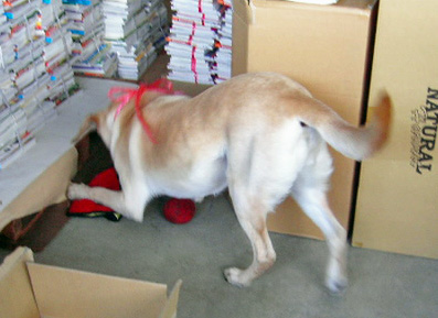 ��������ͷ��KEIRU