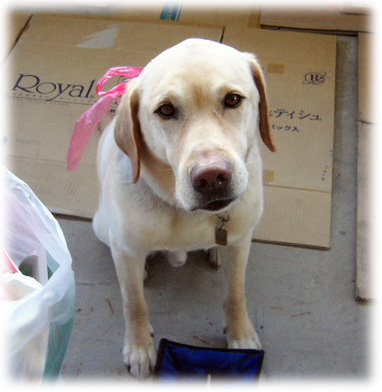 �¤äƥ����򸫤�KEIRU