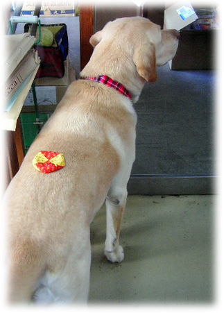 ����ˤ���̤�ܤ���Ω�äƤ���KEIRU