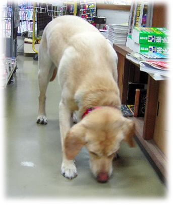 ����ɡ�򤯤äĤ��Ƥ���KEIRU