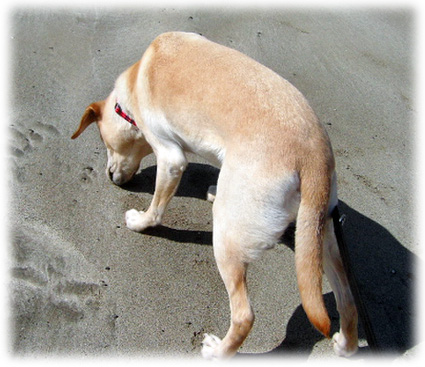 ���ͤǥ��󥯥�