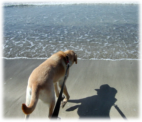 ���˸��������Ȥ���KEIRU