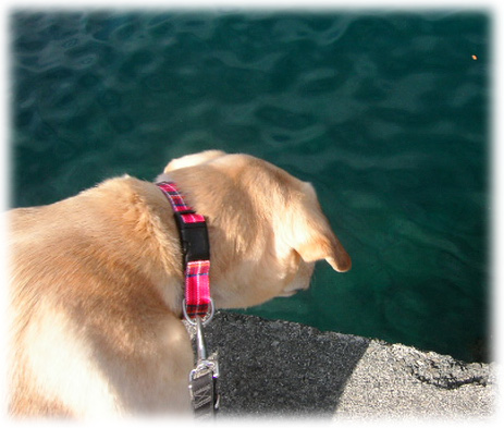 ������������KEIRU