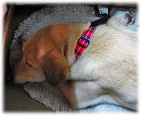 �ݤ��ʤä�̲��KEIRU