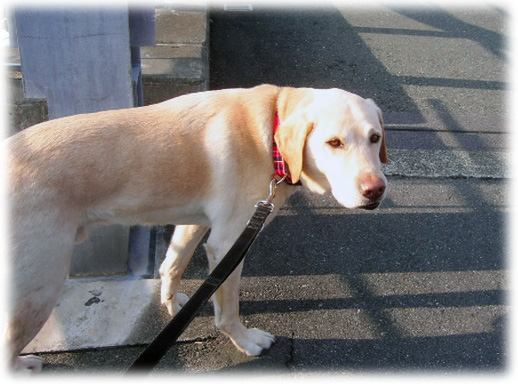 �����롢ü���֤�