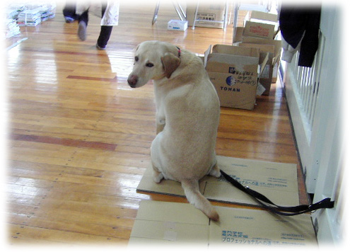 �����֤륱����