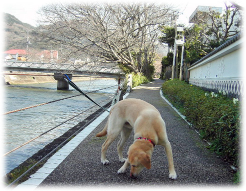 ���̤򥯥󥯥�Υ�����