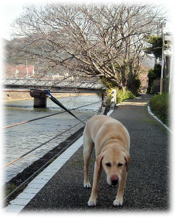 �Ҥ�����԰¤����˥����򸫤륱����